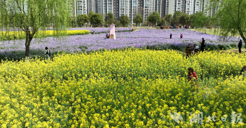 柏临河湿地公园 何亚洲摄（资料图）