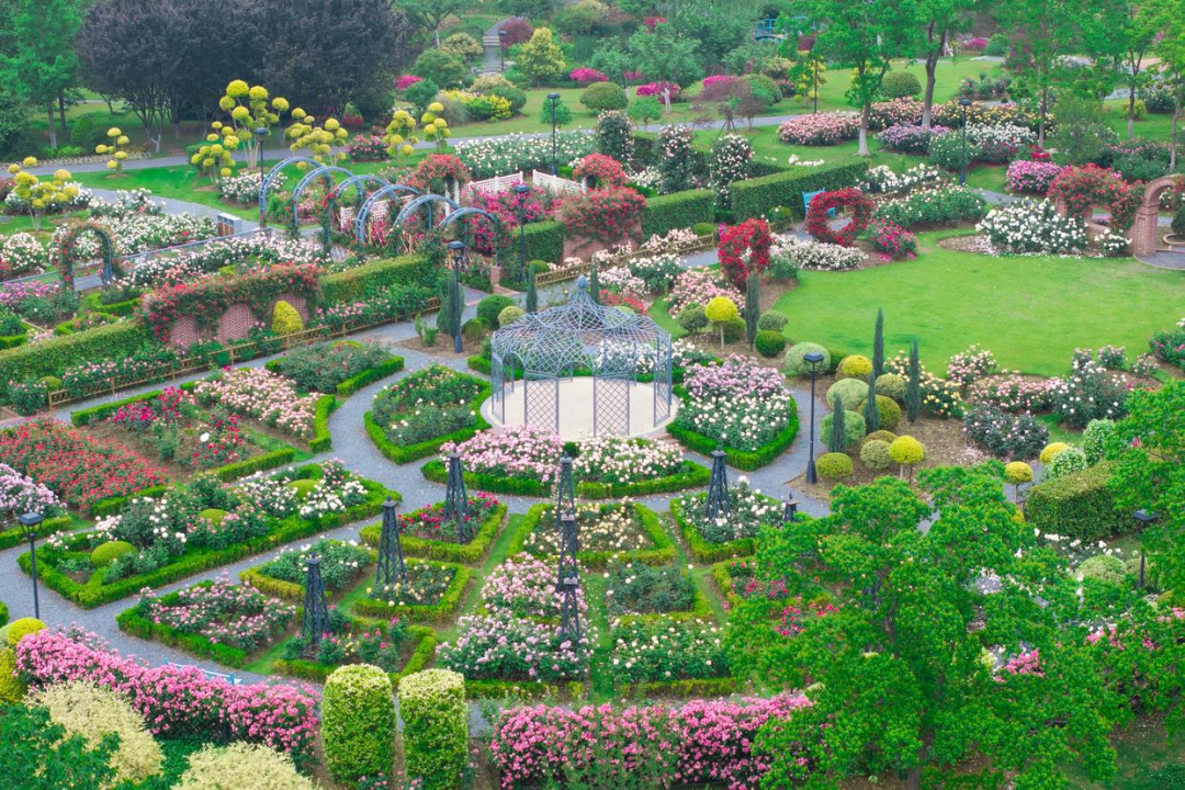 【新闻稿】沙湖生态构建城市绿肺 环沙湖双碳经济带建设持续推进(2).docx