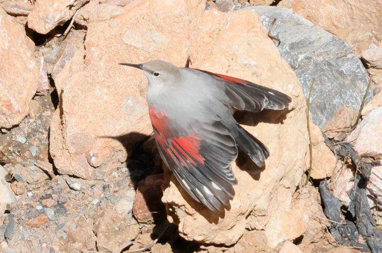 北緯31秘境檔案黑美20251216090346.docx