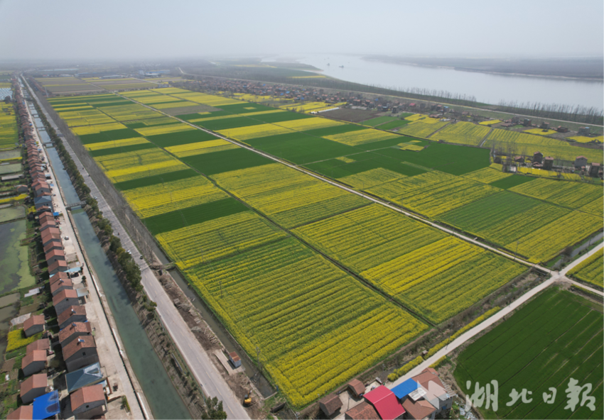 簰洲湾镇：谋目标定位、破发展困局，攻坚突围构建武嘉融合桥头堡(1).docx