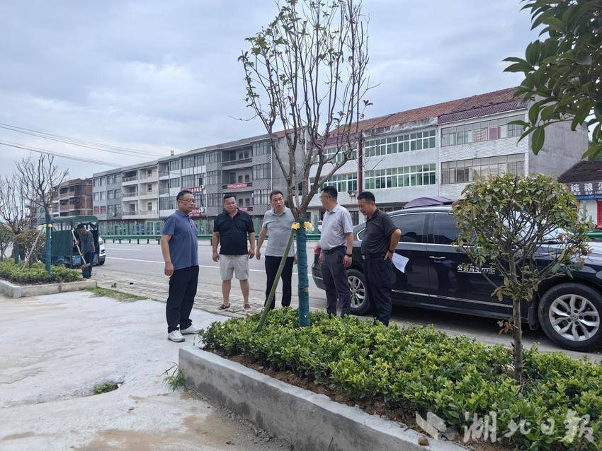 假期不停工 一线强督导 实干争先保发展.docx