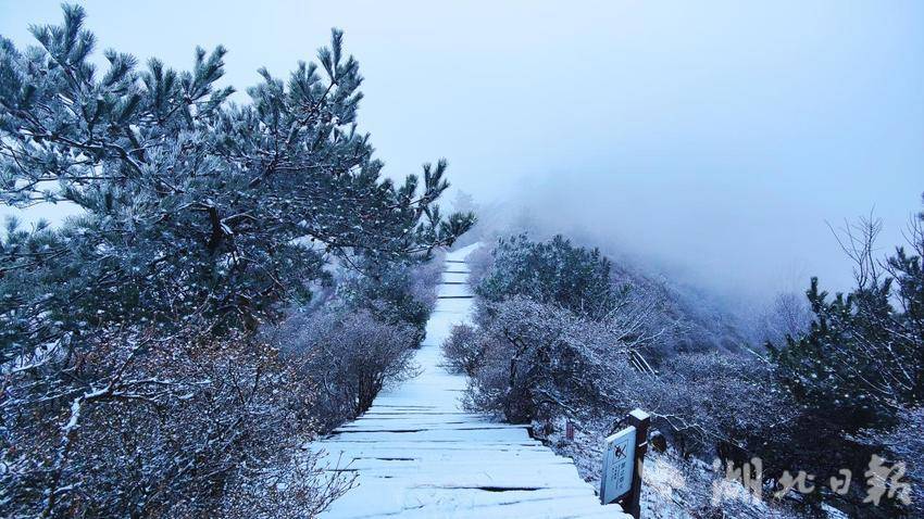 龟峰山四季.doc