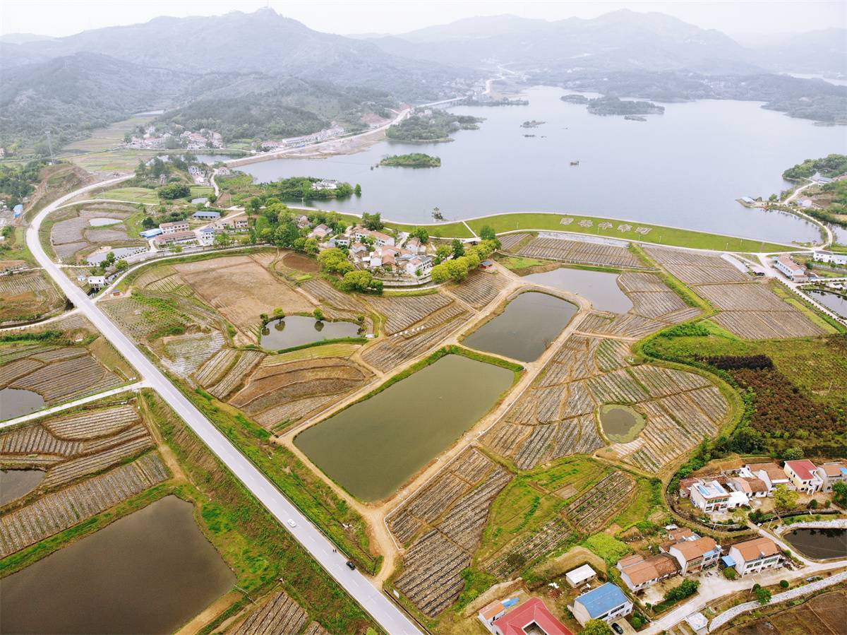 见美 见富 见未来——团风县牛车河乡村振兴示范区创建记 - 湖北日报新闻客户端