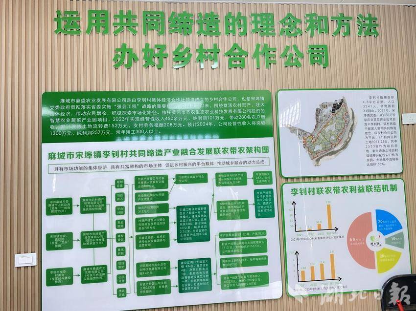 2025年麻城市委党校第一期主体班学员到宋埠镇开展推进乡村振兴与农业农村现代化专题调研新闻报道.docx
