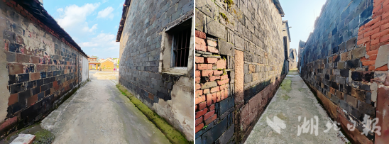 践行垃圾分类  绘就乡村绿色发展新画卷.docx