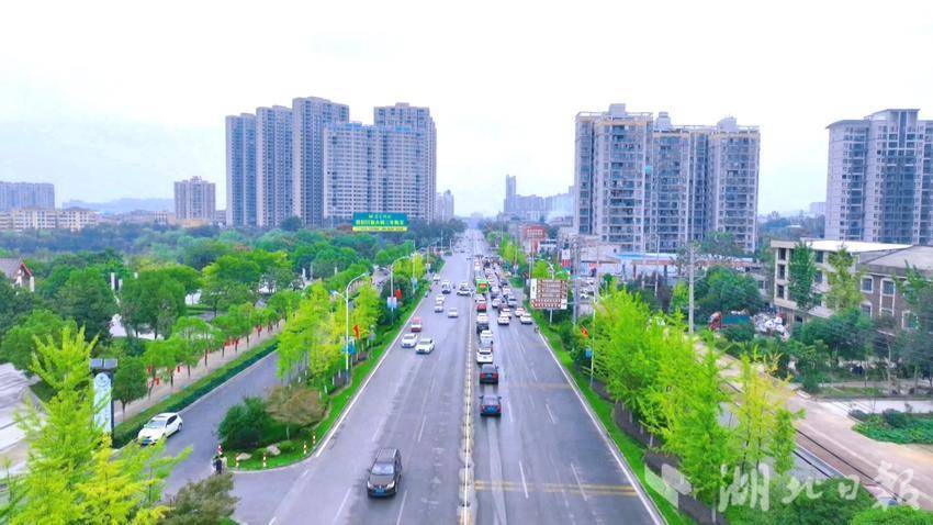 蕲春县漕河城区李时珍大道（阎旻睿  供图）