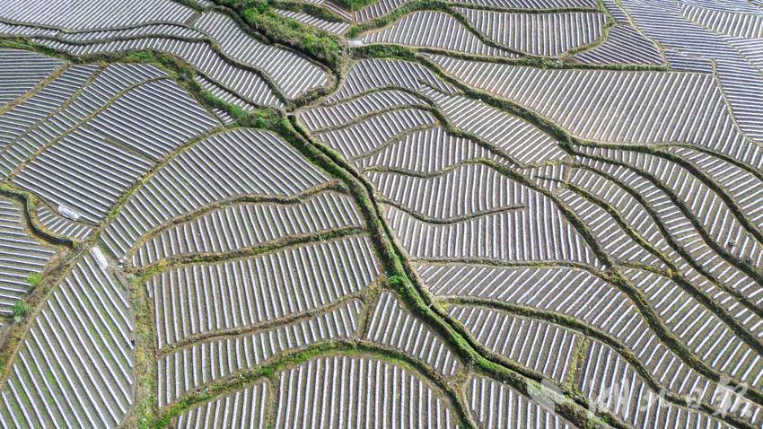 DJI_0124_副本.jpg