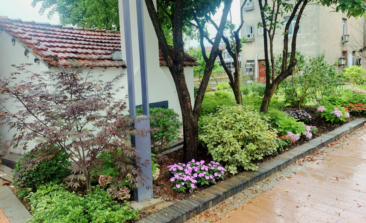 副本汤逊湖大港新闻稿.docx