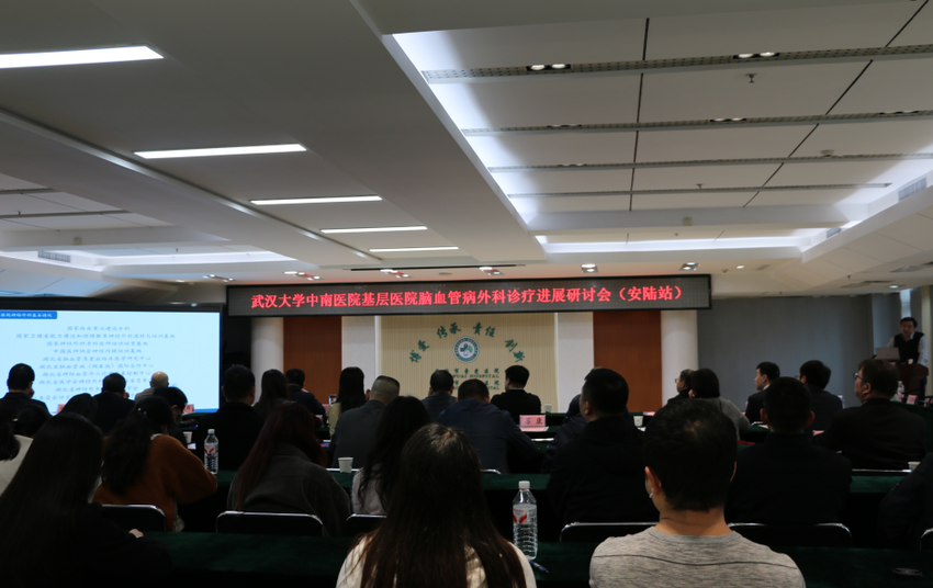 武汉大学中南医院基层脑血管病诊疗研讨会.docx