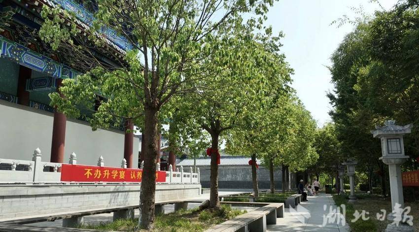 麻城：“认养一棵树” 与城市共赴绿色文明之约.docx