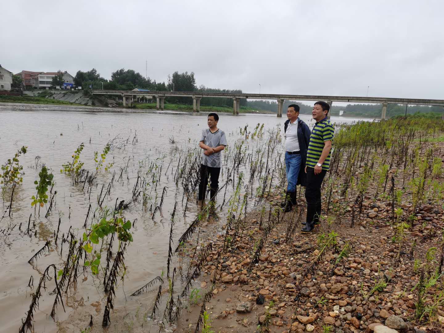 7月12日高关泄洪 田店镇防汛队员巡查大富水1.jpg