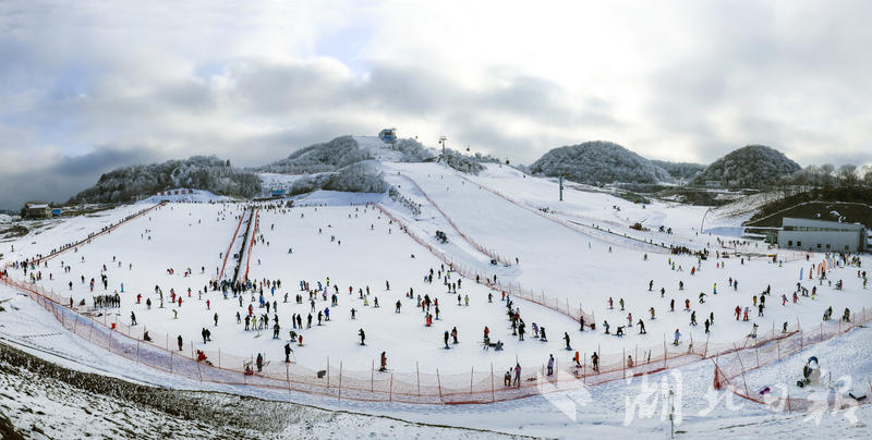 绿葱坡滑雪场人气火爆