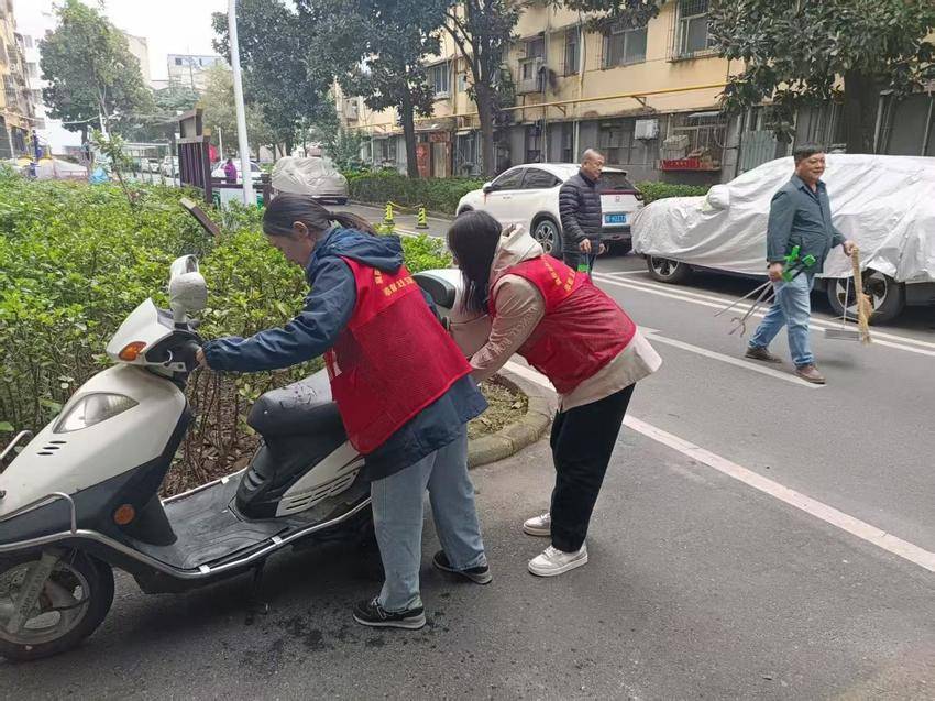 10.10洁城行动美环境.docx