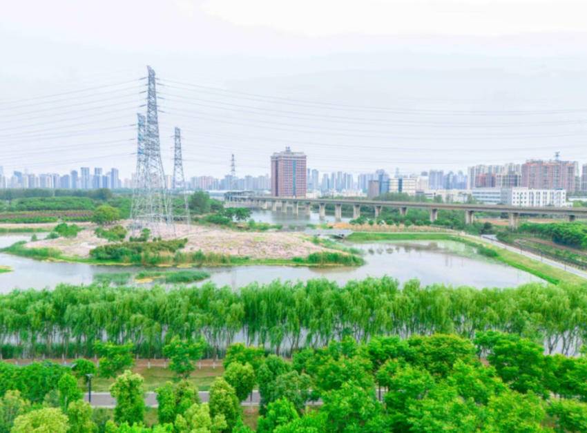 1203-铁脉焕新绘绿卷 江城治理展新颜(1)(1)(4).doc