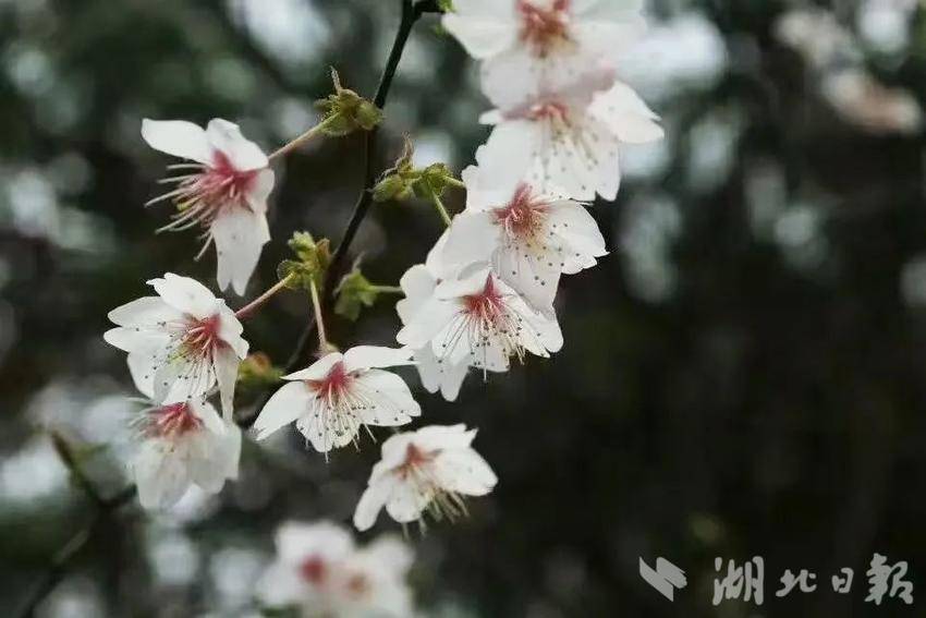 微信圖片_20250311111012.jpg
