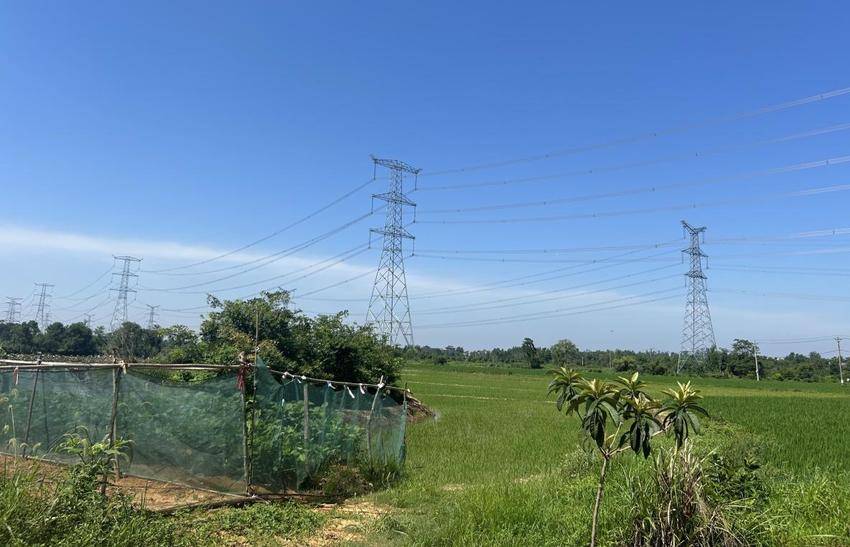 夏日送清凉，合力促振兴（梨园街）.docx