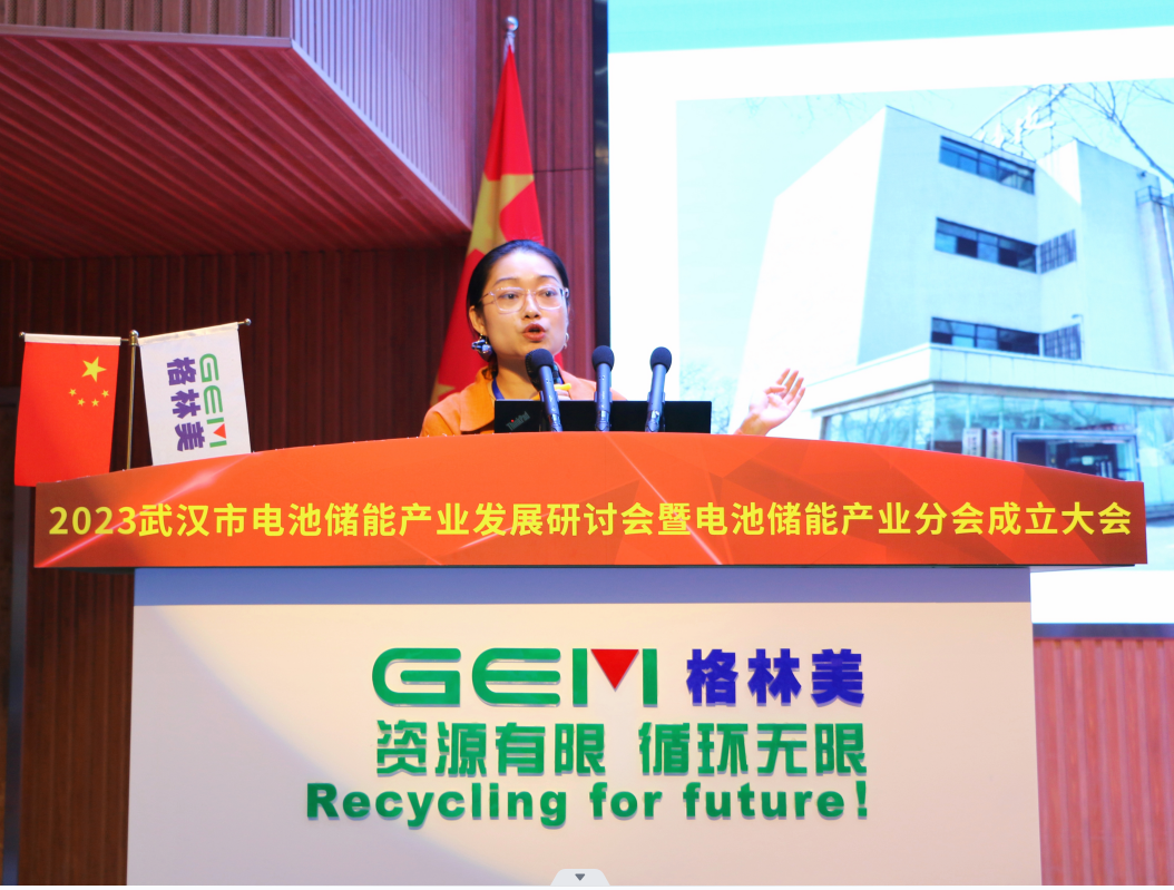 “绿动武汉 储能未来”  2023武汉市电池储能产业发展研讨会举行.docx