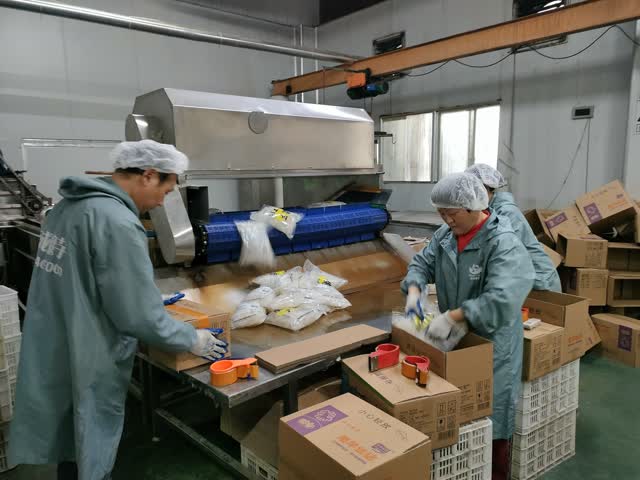 这项技能让菌棒制造时刻节约80%以上_工业资讯_食用菌新闻_我国食用菌商务网