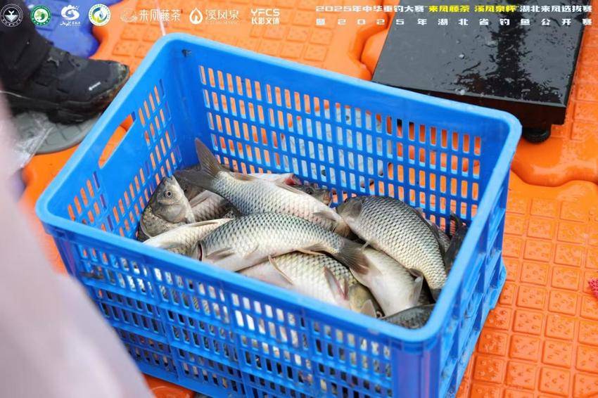 2025 中华垂钓大赛来凤选拔赛总稿.111docx.docx