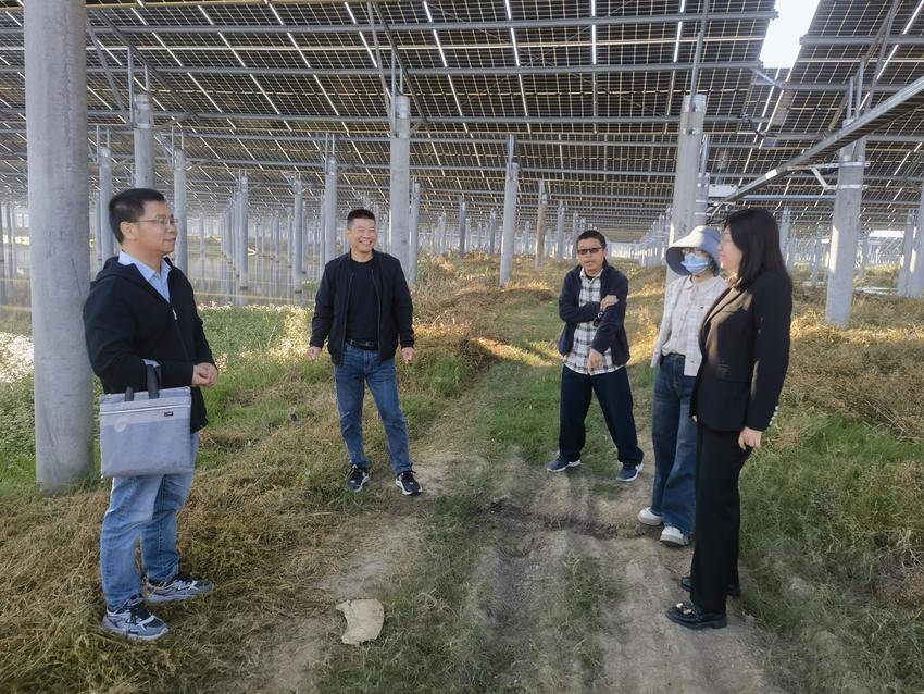 11.10监利市水利和湖泊局：深入光伏项目现场 助力绿色能源发展.doc