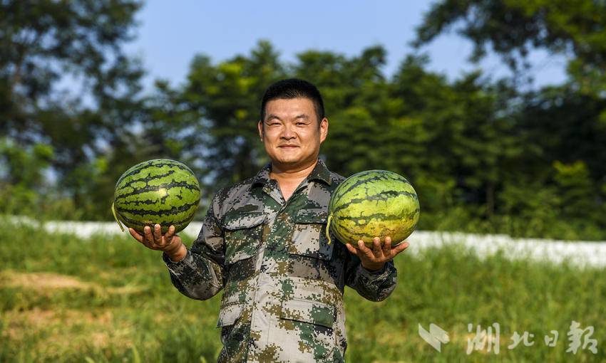高铁岭镇九龙村昔日林地变身“甜蜜”产业.doc