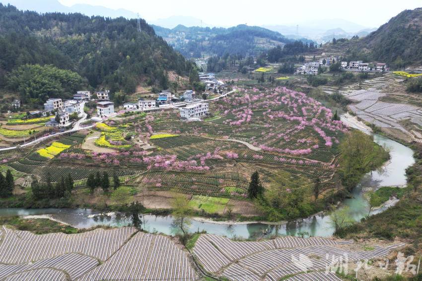 DJI_0261_副本_副本.jpg