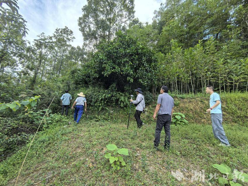 技术人员在李家河镇开展耕地后备资源摸排工作