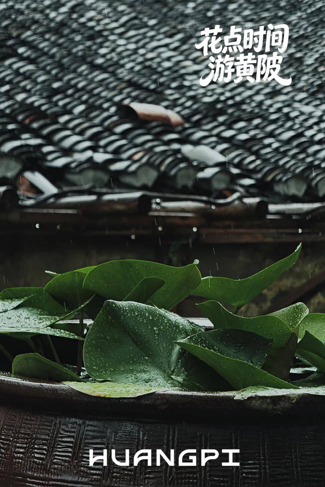 未标题-1.jpg