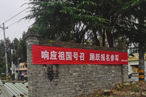 水坪镇：多措并举开展下半年征兵工作.docx