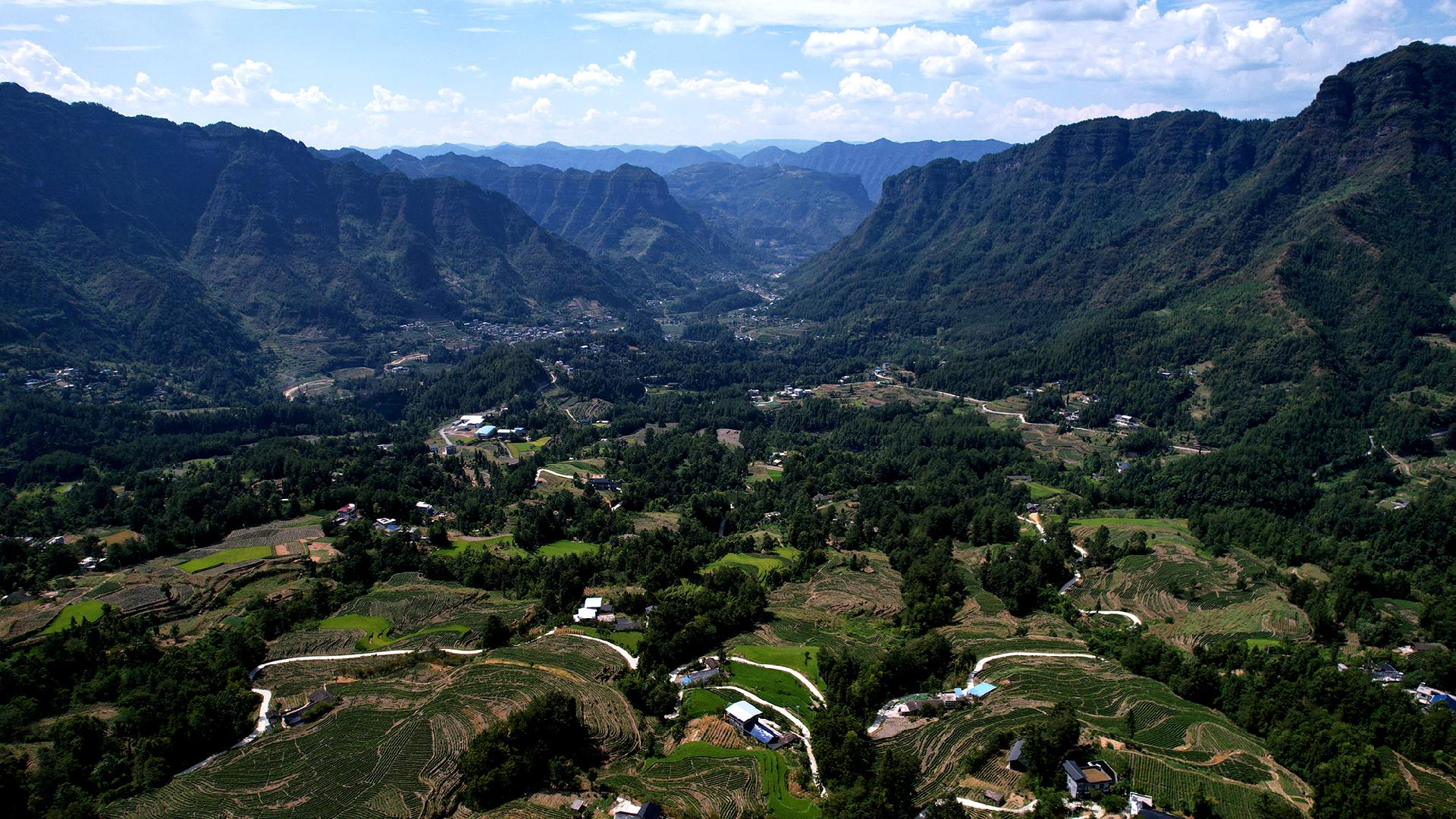 全貌 (2).JPG