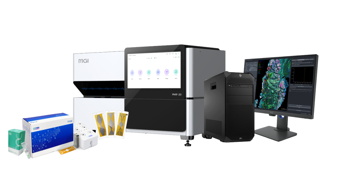 PMIF-20 全家福.png