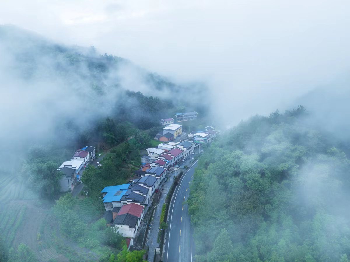 青绿山水入画来