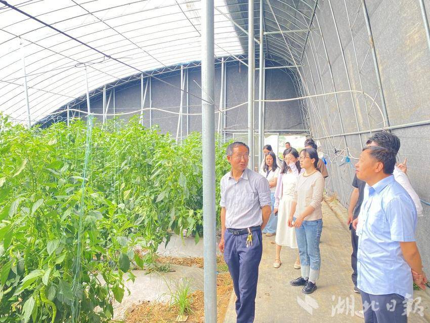 2025年麻城市委党校第一期主体班学员到宋埠镇开展推进乡村振兴与农业农村现代化专题调研新闻报道.docx
