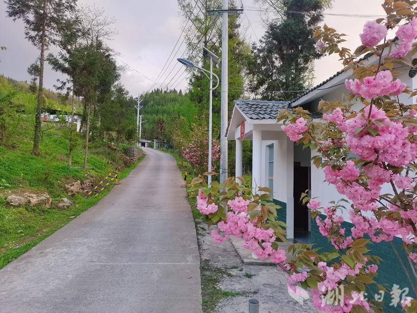 花椒坪村美丽的乡村道路（2022年4月拍摄）