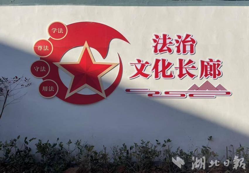 共筑美丽乡村梦 共创居民幸福生活——武穴街道大桥社区陈文太示范小区美丽乡村建设纪实(5).docx
