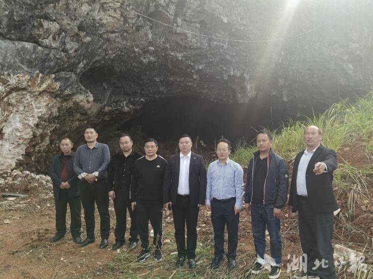（投稿湖北日报客户端）上海中震旅游集团考察通山县大畈镇旅游开发项目.docx