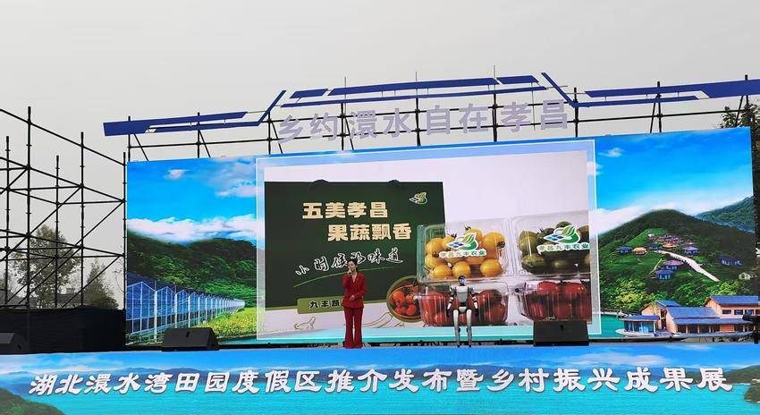 金秋澴水迎盛会，孝昌沃野展新篇——孝昌县农业农村局成功承办乡村振兴成果展.doc