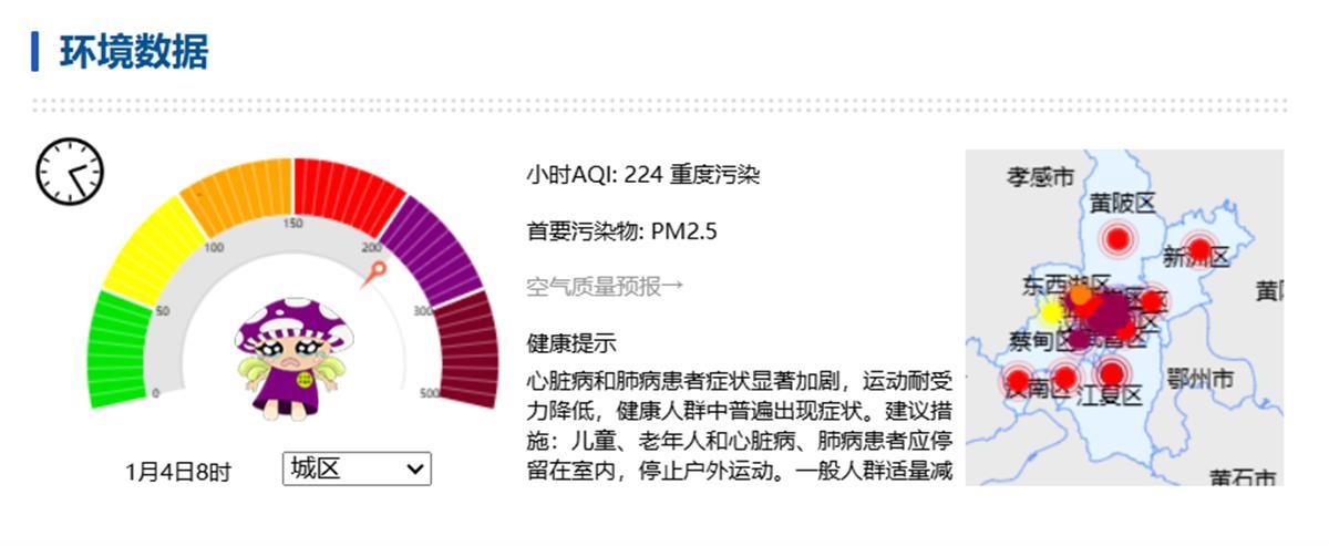 武汉环境局.png