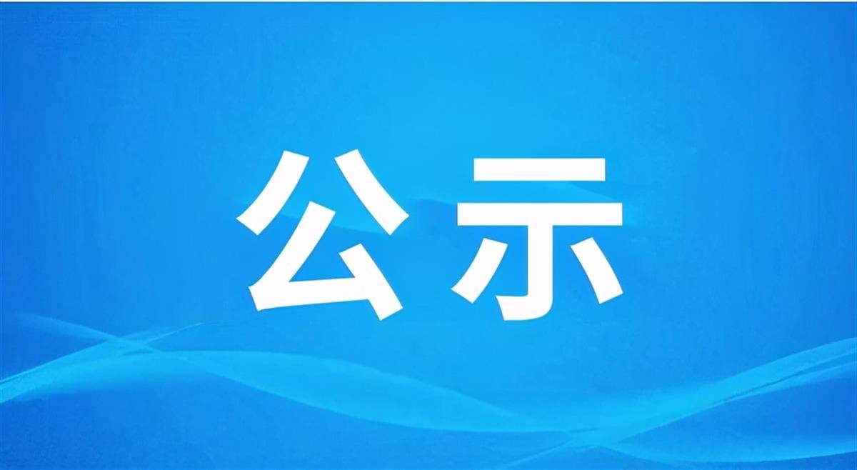 公示公告.docx