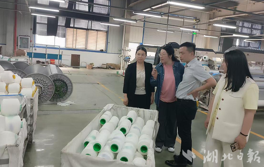 定稿—浙江绍兴非凡纺织苹科技有限公司来罗田投资考察.docx