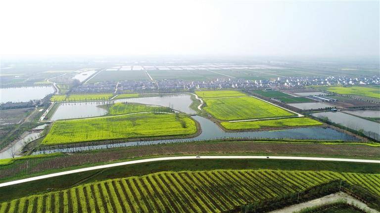 全域国土综合整治项目有序实施，优化生产、生活、生态空间布局