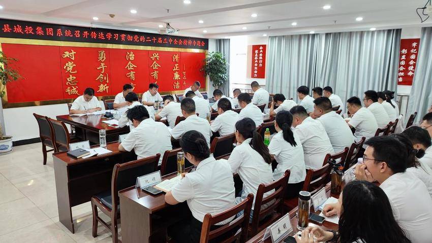 8.12县城投集团召开学习贯彻党的二十届三中全会专题会.docx