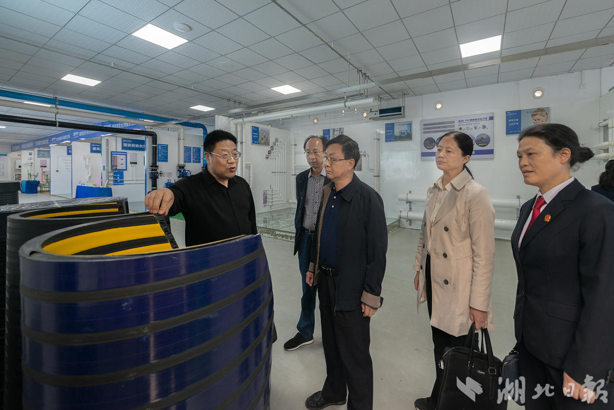 随州、广水两级法院法官赴大洋塑胶有限公司调研企业知识产权保护工作  熊熙摄.jpg