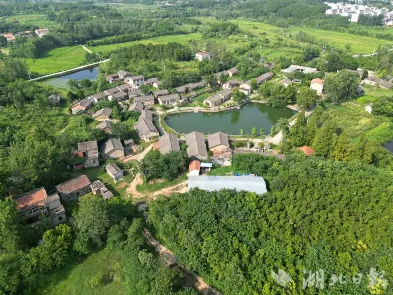 1歧亭杏花村：千年花事，一脉人文.docx