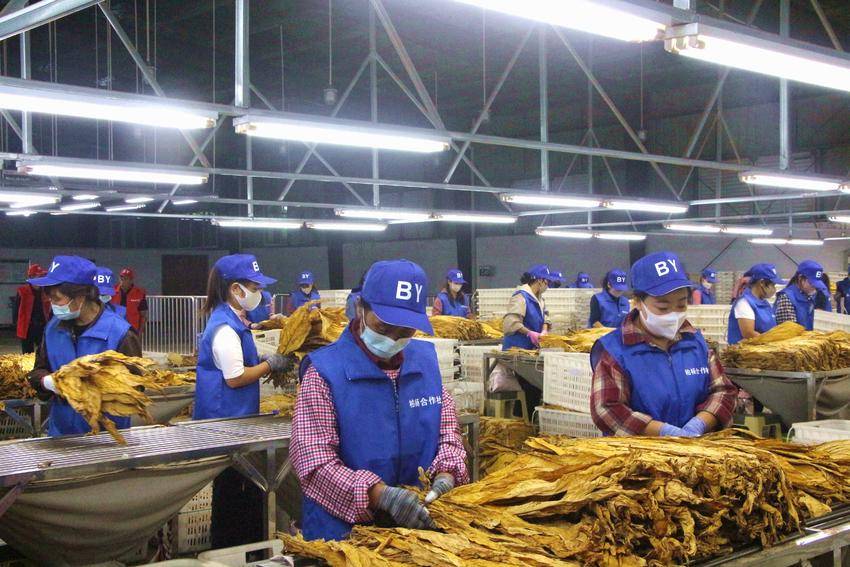 专业化分级服务队