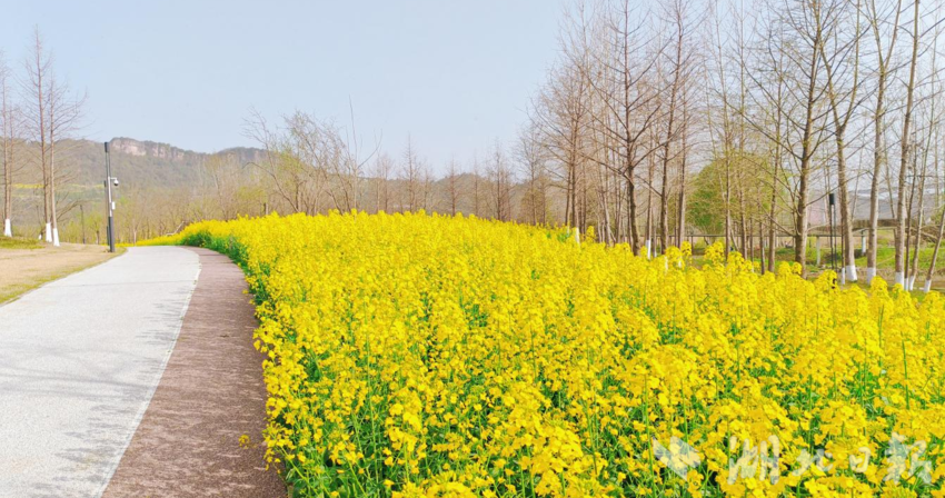 黄柏河湿地 艾莉莉摄（资料图）