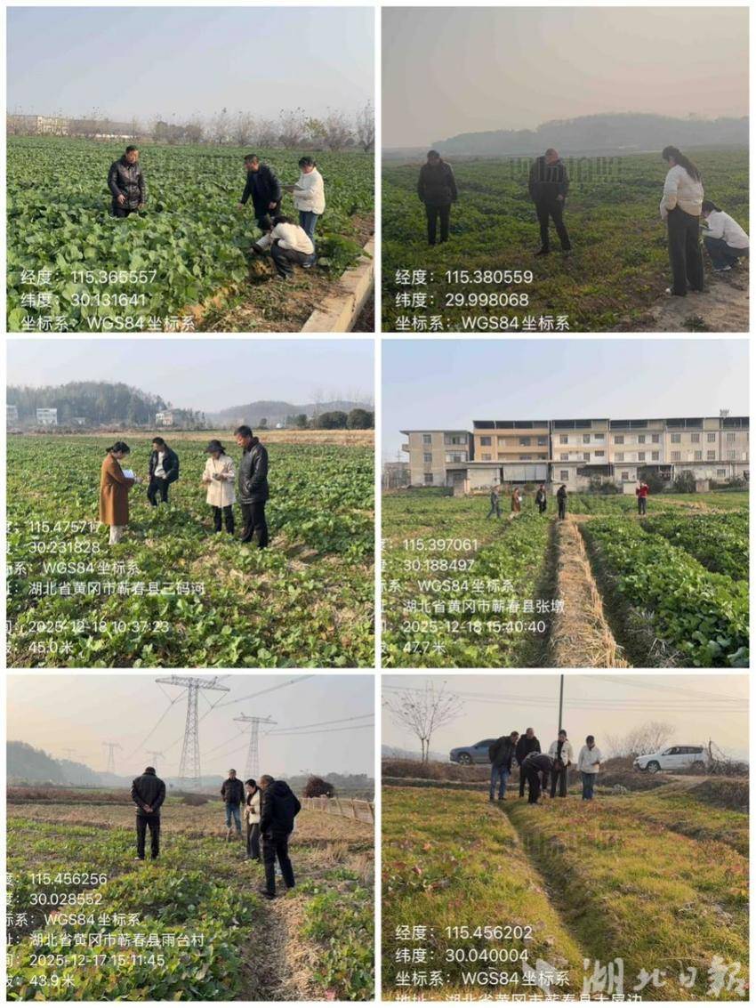 轮作扩种冬季田间管理(2).docx