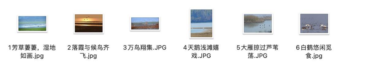 截屏2023-03-14 10.19.55.png