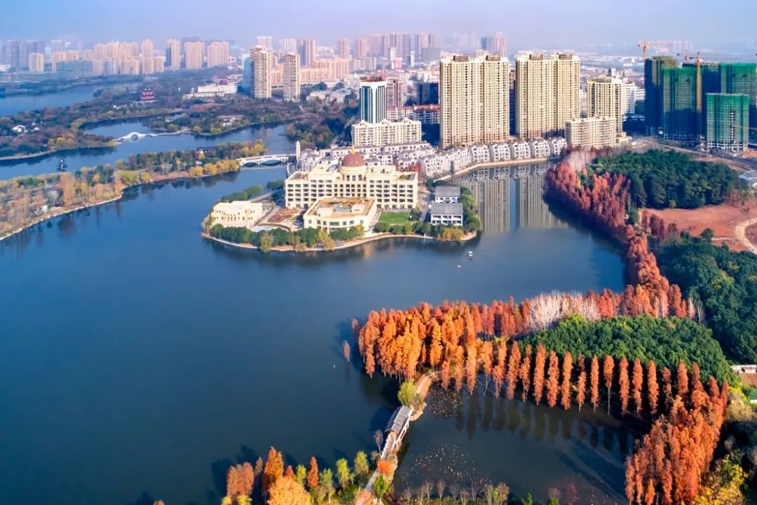 2阿明 临皋春晓 (27).jpg