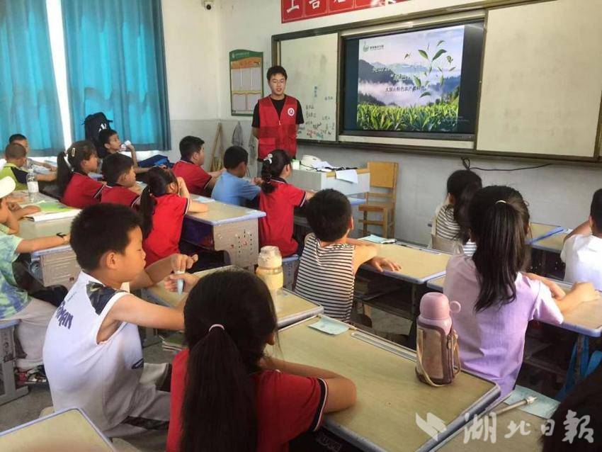 暑假学堂”爱心托管班“-光合育苗：呵护每颗“好奇心”种子，生命之光在行动.docx